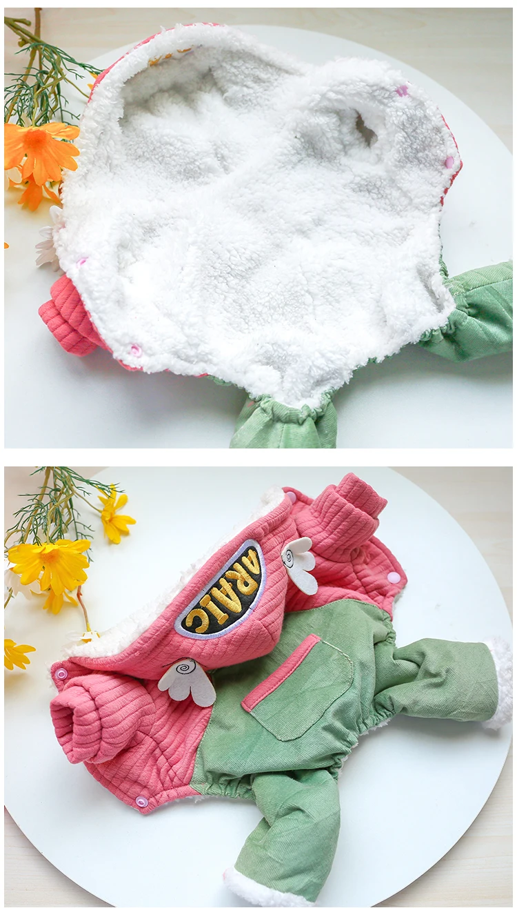 O1CN01lDDypd1MabJsegj5C_!!53261451