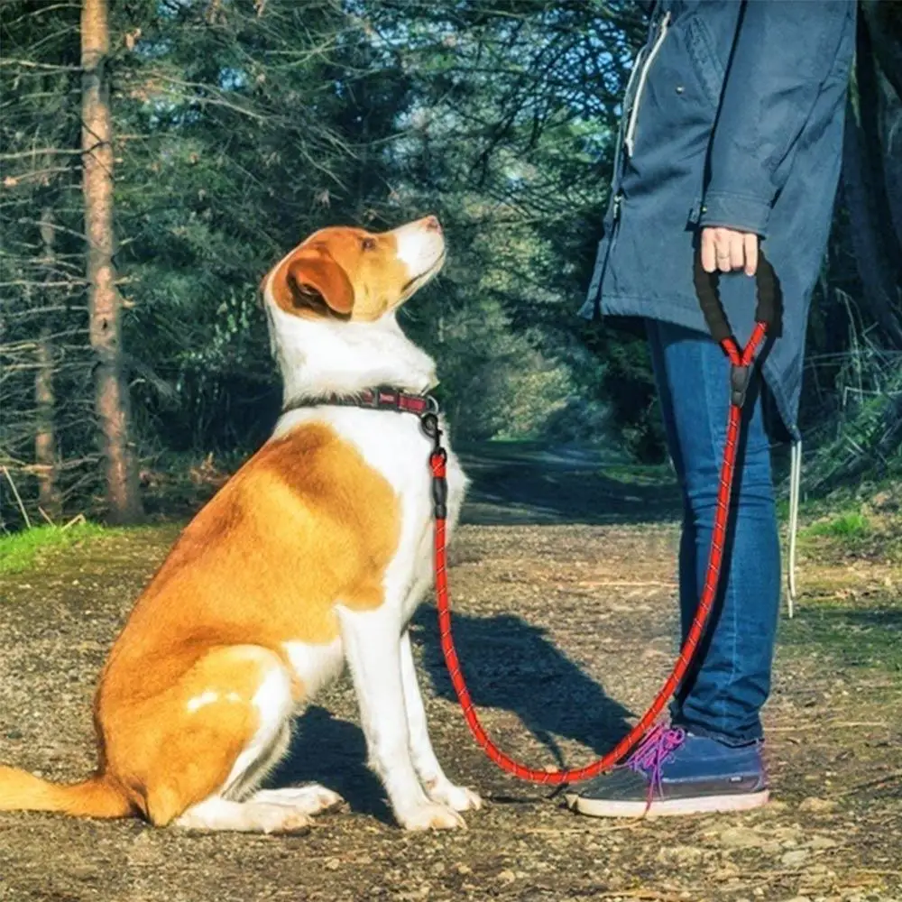 

Dog Belt Rope Night Reflection Chain Durable Dog Leash Dogs Leashes Strap Nylon 120/150/200/300cm Head Collars Outdoor