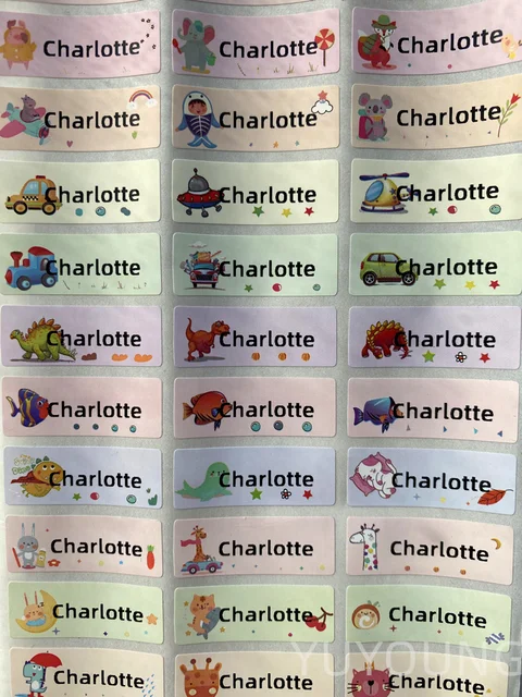 120Pcs S size Name Tag Sticker Customize Stickers Waterproof Personalized Labels Children School Stationery office Water variety 30x11mm B