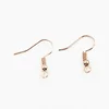 New Fashion 100pcs Earring Findings 20x17mm DIY Earrings Clasps Hooks Fittings DIY Jewelry Making Accessories Iron Hook Jewelry 3