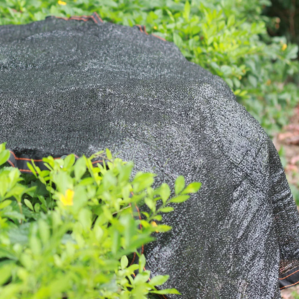 9d6dd9ebcb602f0515a3f068e13f3ff9