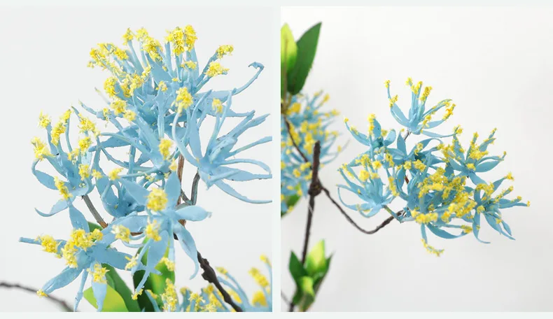 11785153614_1554594402