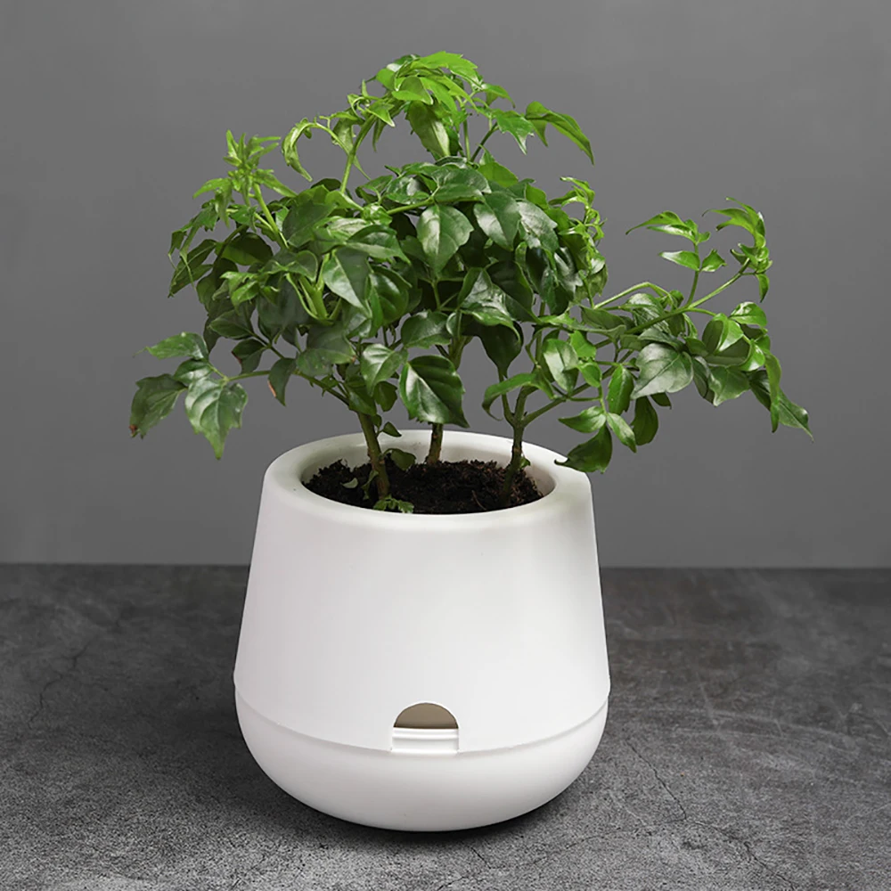 White Hydroponic Flowerpot Home Office Desk Flower Pot Green plants