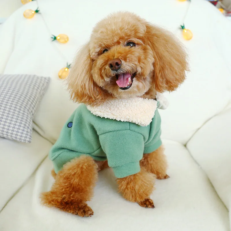 11681076511_1853267267