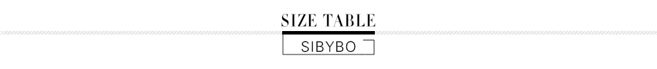 Sibybo-conjunto de blazer casual com duas peças