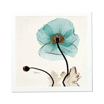 

Shower Clothes Storage Cabinet Foldable Shelf Mural Punch-free Organizer Bathroom Decor BJStore