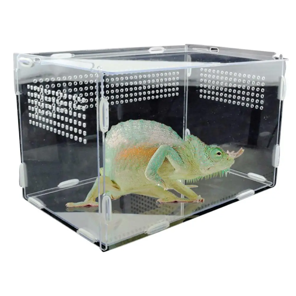 

2020 Hot Sale!!! Transparent Reptile Breeding Box Reptile Breeding Box Acrylic Feeding Box For Spider Lizard Frog Cricket Turtle