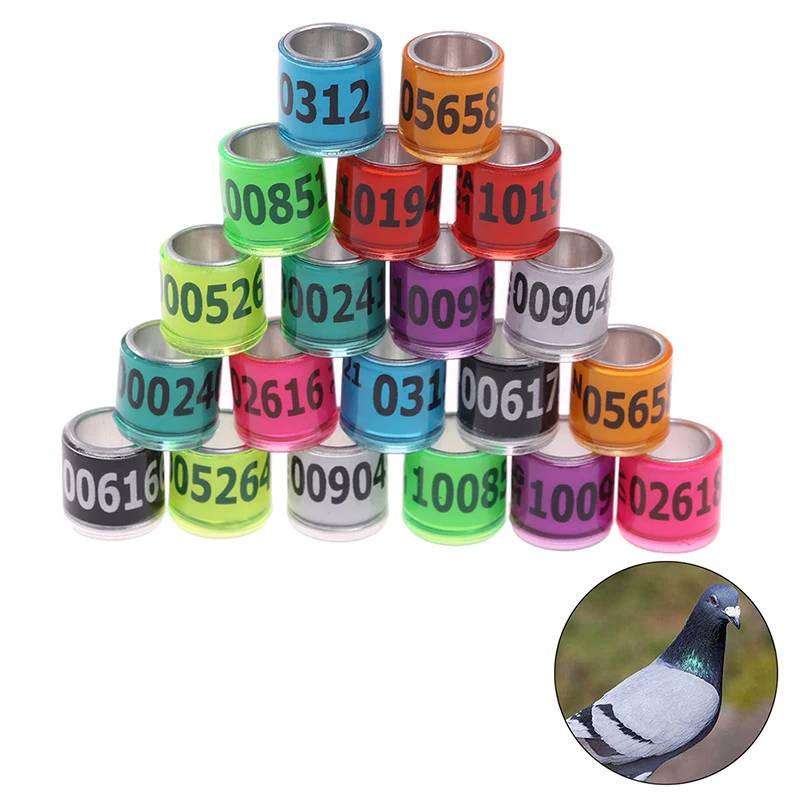 20 pcs multicolor Pigeon Foot Ring With Word Earrings Quality Durable Bird Ring Racing Pigeon Foot Bird Tools
