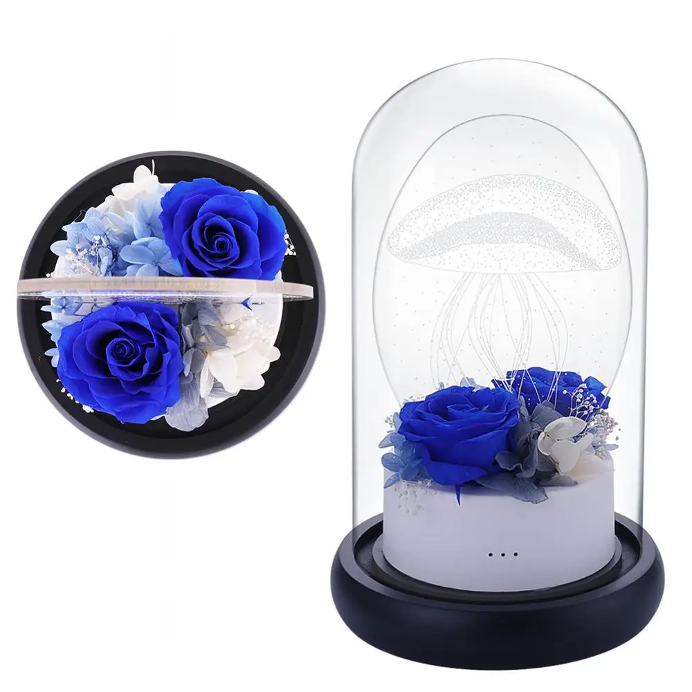 New Sale Enchanted Rose Last Forever in Glass Soft LED Light Flower Valentine's Day Anniversary Romantic Birthday Christmas Gift