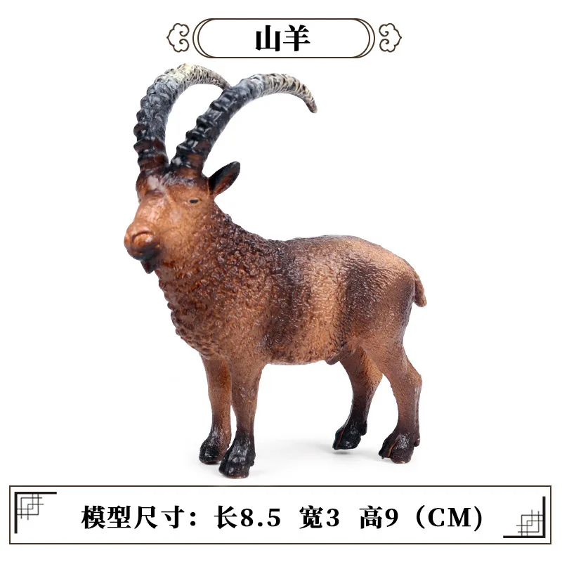 10738005413_1464955482