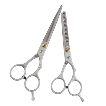

2 Pcs/Set Salon Hair Cutting Cutter Stainless Steel Scissor Thinning Shears Kit AC889