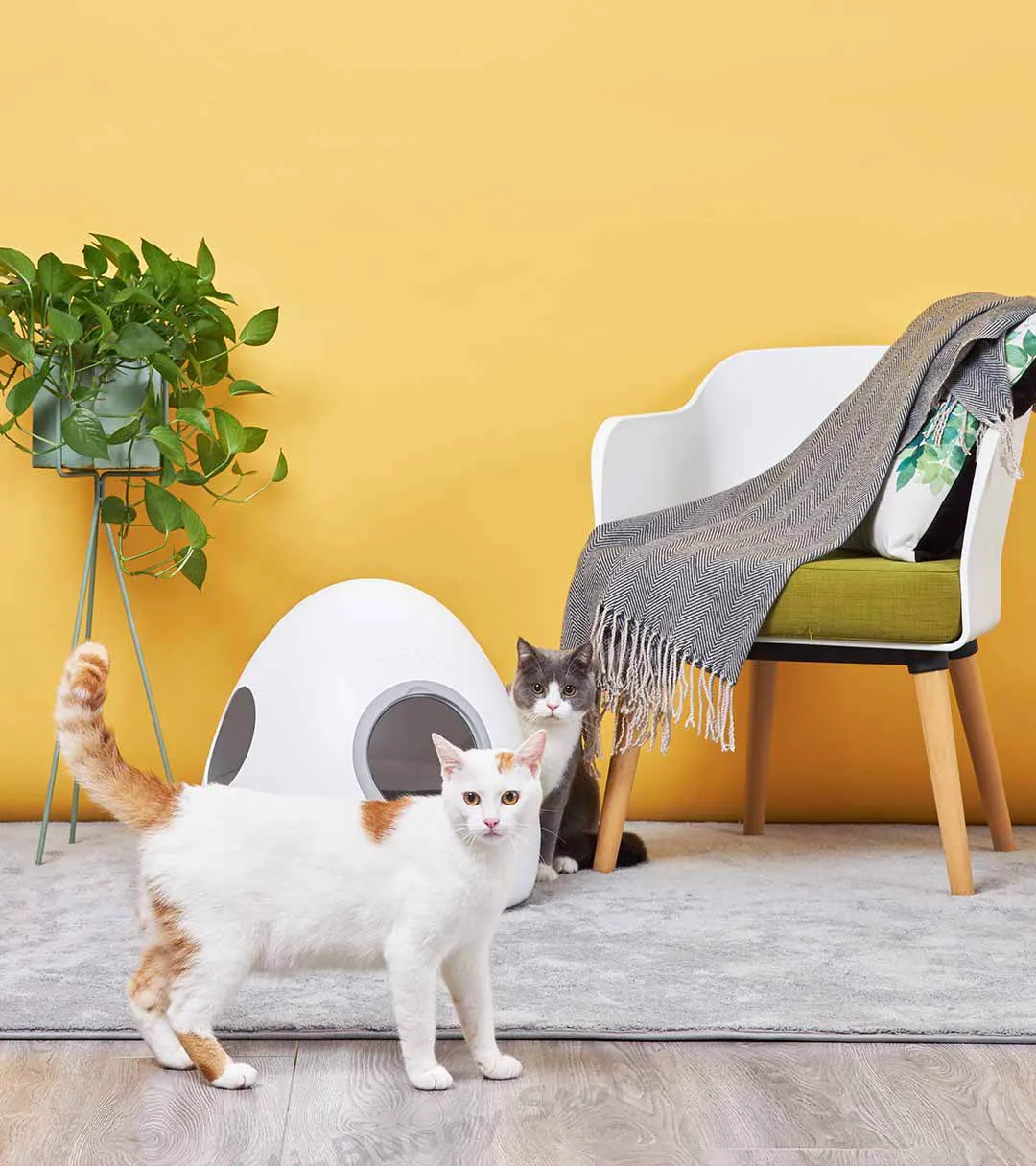 Xiaomi Moestar космический корабль smart pet холодный теплый дом тройной дизайн безопасности умный мониторинг здоровья для умного дома