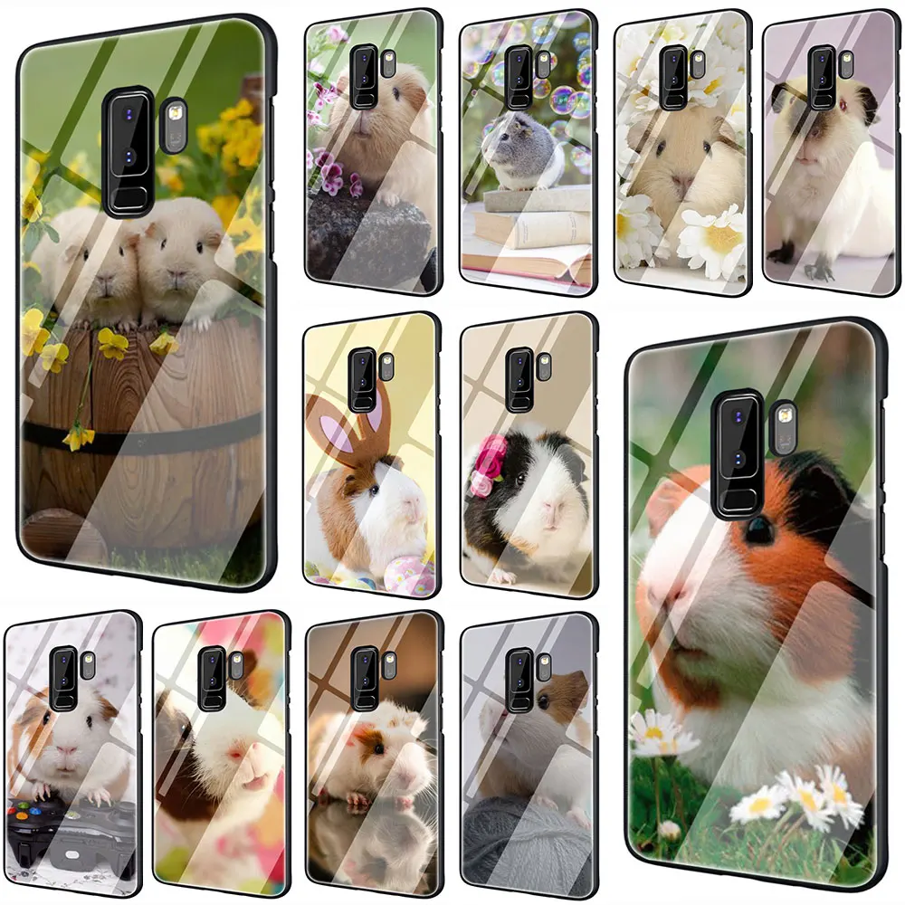 

Cute Baby Guinea pig Tempered Glass Phone Cover Case For Galaxy S7 edge S8 9 10 Plus Note 8 9 A10 20 30 40 50 60 70