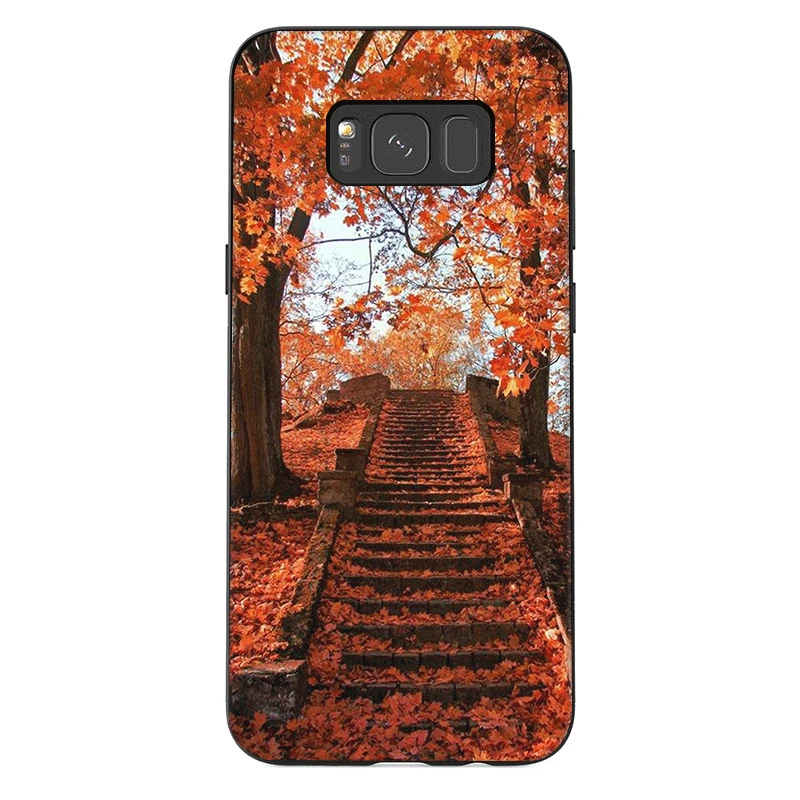 Сотовый Чехол для телефона для samsung A70 A60 A50 A40 A30 A20 A10 A10s A20s A2 A30s A40s A50s A3 A5 A6 A7 A8 A9 крышка осенний пейзаж - Цвет: B7