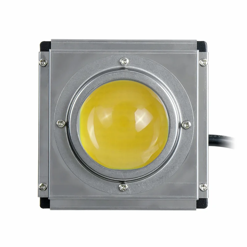 COB LED Grow Light Indoor Phyto Lamp for Plants Full Spectrum 300W Led Growth Lamp Grow Tent Box Lamps for Home Plants Flowers, grow light