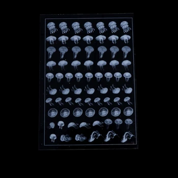 

Jellyfish Transparent Material Epoxy Slicone Mold Making Jewelry Filling For DIY Craft