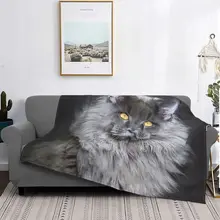 Couvre Lit Chat Promotions Reductions Aliexpress