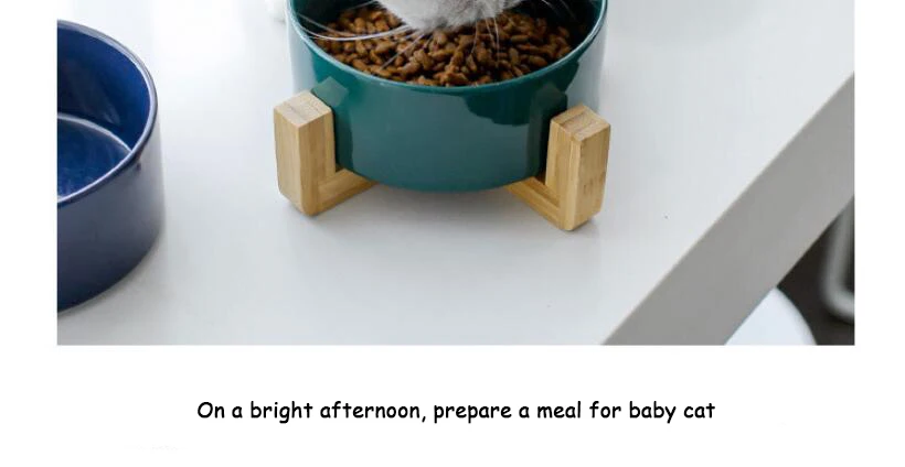 QQ截图20190925163950