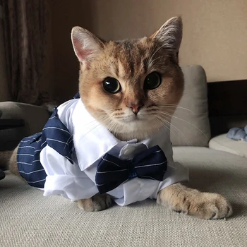 Pet Tuxedo Wedding Suit 3