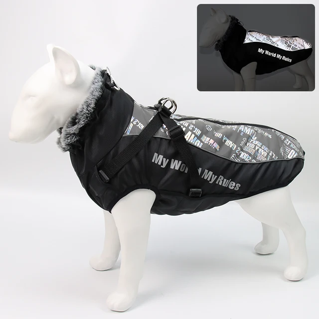 Big w dog jumpers Outlet
