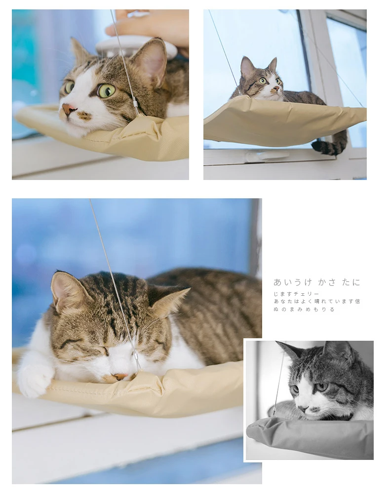 O1CN01TOpRRH1uM7f7SmIZ9_!!1918356022