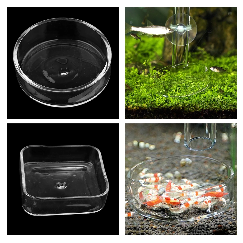 Aquarium Glass Shrimp Feeding Dish Bowls, Water Food Dish Feeder Bowl - Round/Square to Choose
