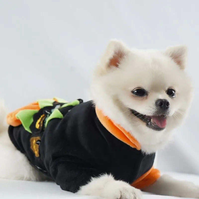 

Pet Halloween Funny Devil Pumpkin Cosplay Coat Dogs 2-legged Hooded Coat Pet Clothes