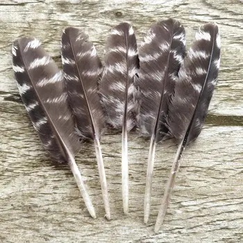 

Wholesale 500pcs Pretty 6-10 CM Natural Wild Turkey Wings Feathers DIY Jewelry Craft Making Home Decoration