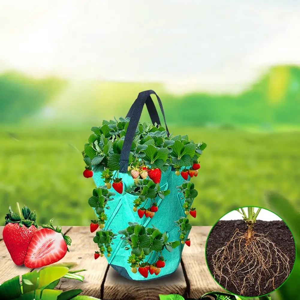 3 Gallon Strawberry Planting Growing Bag Multi-Mouth Plant Pot Container Pouch | Дом и сад