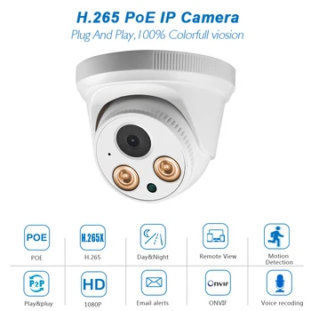 

ONVIF 2pcs Array led SMART H.265 P2P Dome IP Camera for American