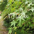 VTS Garden Store