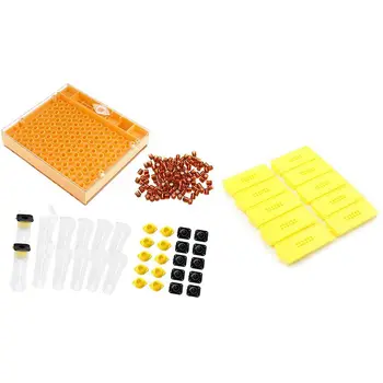 

10x Plastic Queen Bee Butler Cage & Beekeeping Queen Breeding Cup Kit 100 Cell Cup 10 Prisoner King Beekeeper Equipment