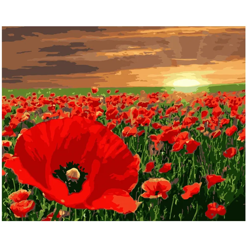 

Painting By Numbers DIY Dropshipping 40x50 60x75cm Fresh red poppy under dusk Flower Canvas Wedding Decoration Art picture Gift