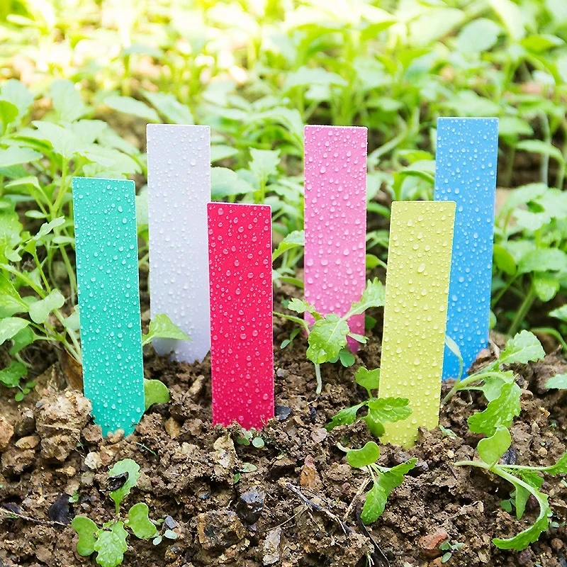 100pcs 10x2cm Garden Plant Labels PVC Plant Tags Nursery Markers Flower Pots Seedling Labels Tray Mark Tools Pot Waterproof