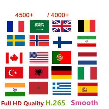 

Best French IPTV Europe Arabic Sweden Norway Netherland Germany Italy Turkey UK USA Canada HD m3u android enigmas2 smart tv