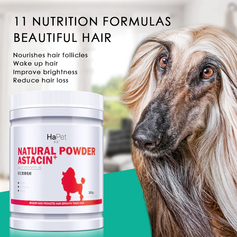 Can Dogs Take Astaxanthin