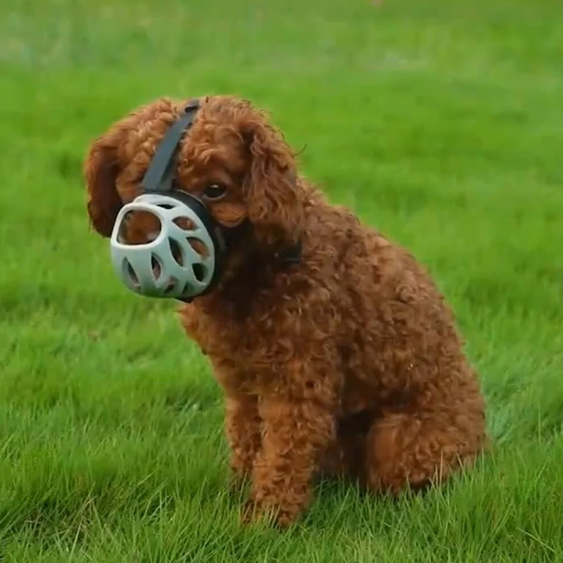 dog muzzle for small dog