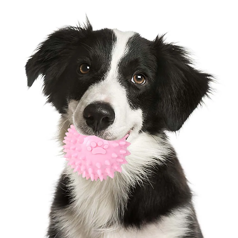 Sell dog. Птичий рынок щенки. Sell dog. Чихуахуа шоколадная арт. Sell dog.