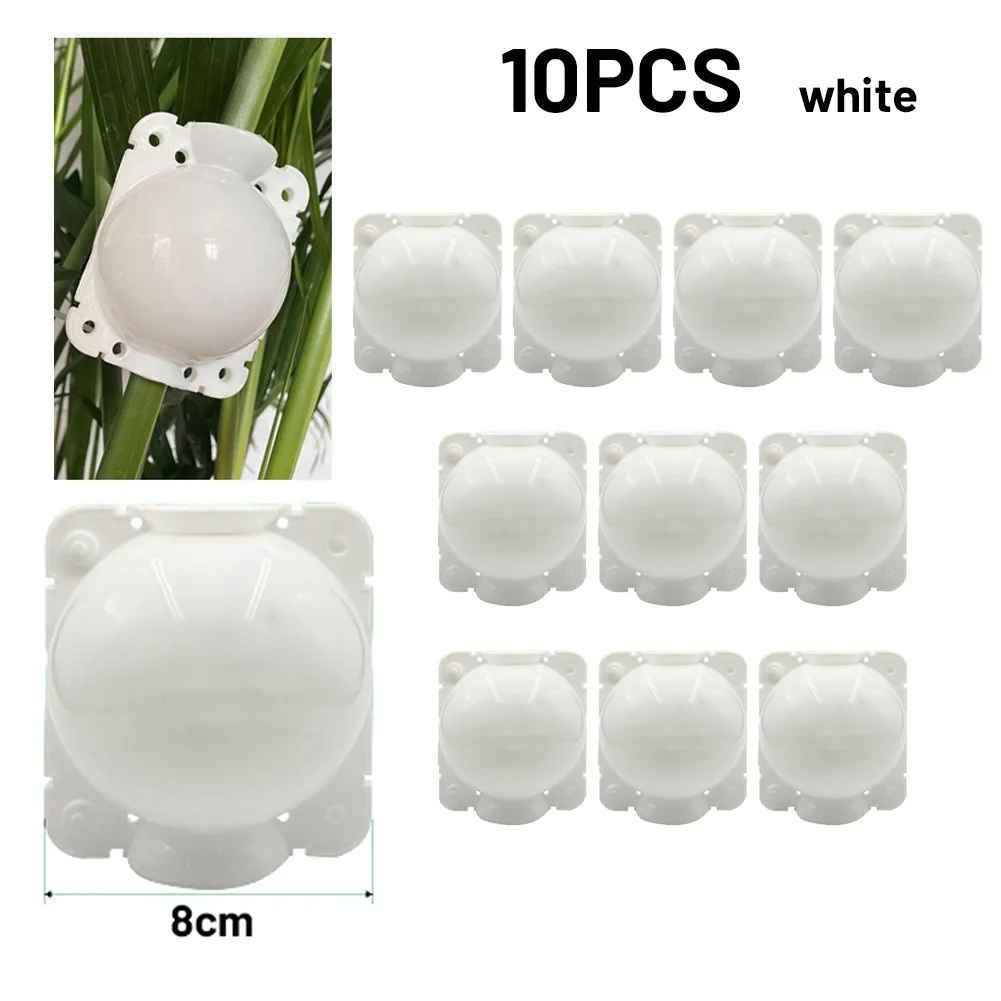 10pcs Plant Rooting Equipment High Pressure Propagation Ball Garden Graft Box Root Growing Box 5cm 8cm Transparent