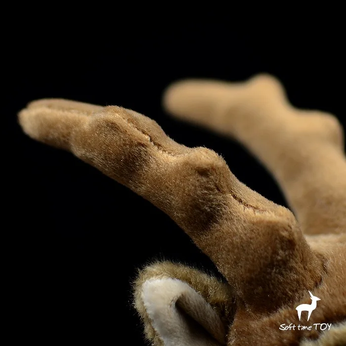 O1CN01hfw8dO1DnZyYQyPVw_!!22080261