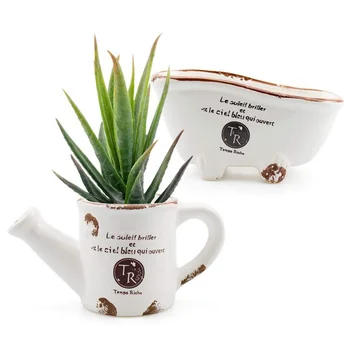 

Succulent Tabletop Succulent Enamel Pot Ceramic Flower Pot Fleshy Flower Pot Plant Garden