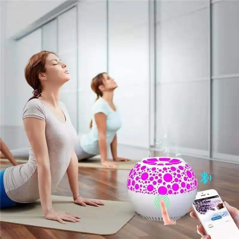 b1566d30e0b6364d5bcccb43656ee61