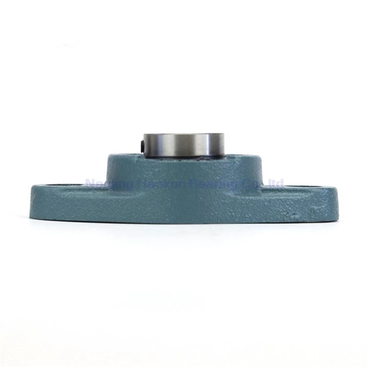 Gcr15 UCFL215 75mm High Quality Precision Mounted and Inserts Bearings Pillow Blocks