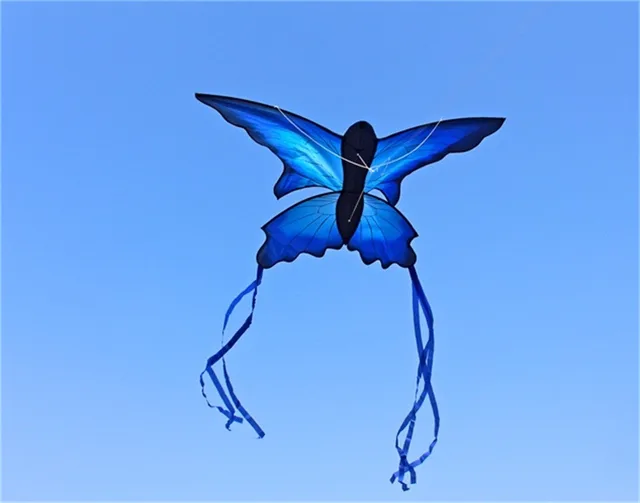 Colorful Beautiful Butterfly Kite Outdoor Games and Activities Single Line Kite Kids Flying Kite for Adults Toys For Kids Gift 6