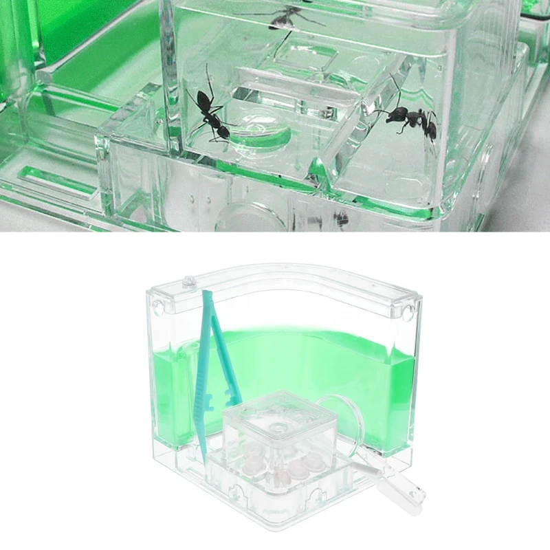 Муравьиная ферма гелевый лабиринт 3D обучающая детская система живого кормления