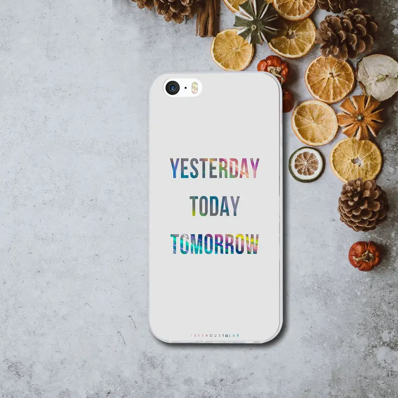 Picture 1 Мягкий ТПУ силиконовый чехол для мобильного телефона, чехол для iPhone X, XR, XS, Max, 8, 7 Plus, 6, 6S Plus, 5, 5S, SE, 5C, 4S, оболочка - Цвет: Picture 1