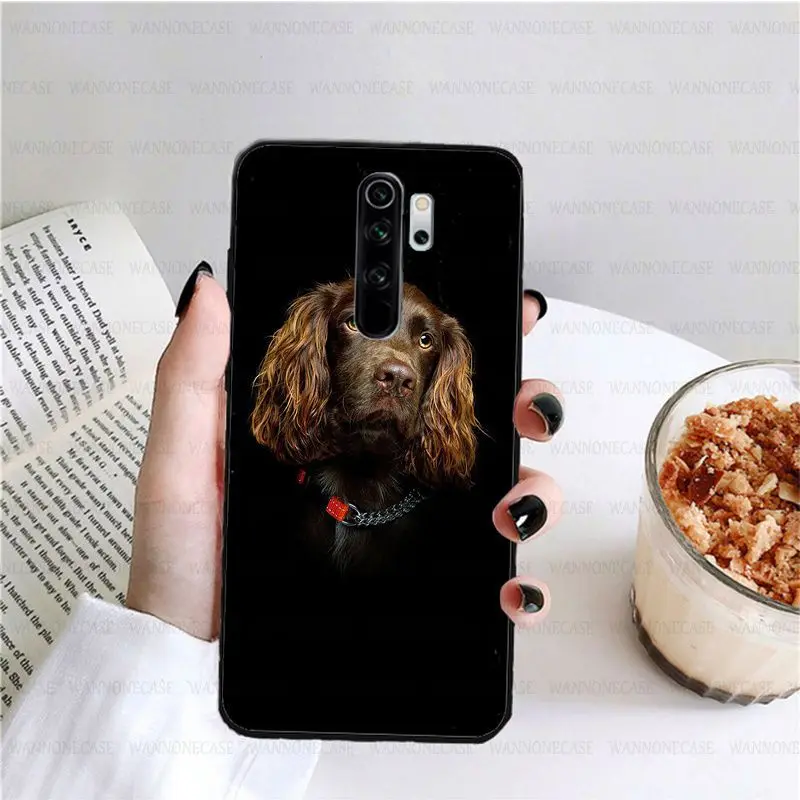 harper cocker spaniel hellip dog puppies