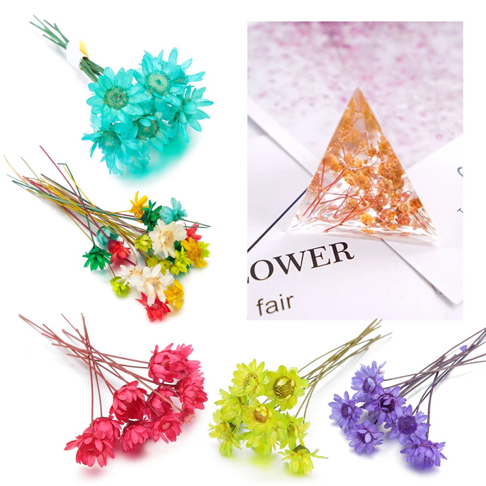 10 шт. бразильские Звездные гербарий DIY эпоксидные материалы ручной работы наполнитель сушеные цветы изготовление каменных ювелирных изделий изделия из смолы декор стола