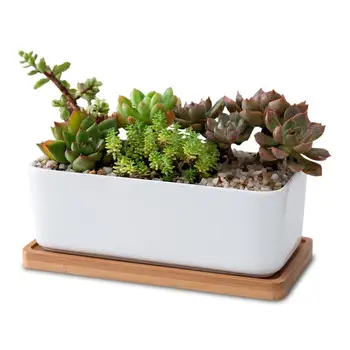 

2Pcs Ceramic Oblong Flower Pot with Bamboo Tray Succulent Planter Garden Bonsai Pot Flowerpot (White)