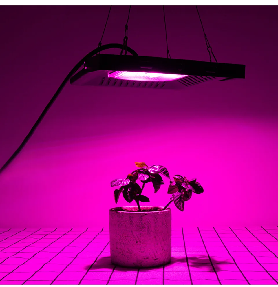 Completo de Luz Crescente para Vegetal e Floração Ip67 à Prova 300 Led Crescer Espectro Ultra-fino Dip67 Água Lâmpada Planta Interior Cob 50 w 100 200 16 300 w led crescer espectro completo de